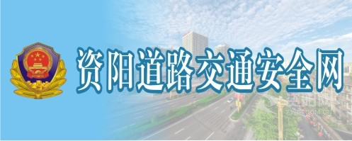 舔啊插舔啊啊啊啊在线观看资阳道路交通安全网